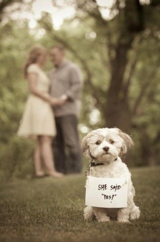 pre wedding shoot