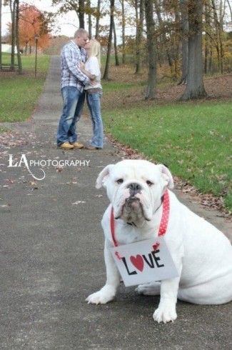 pre wedding shoot