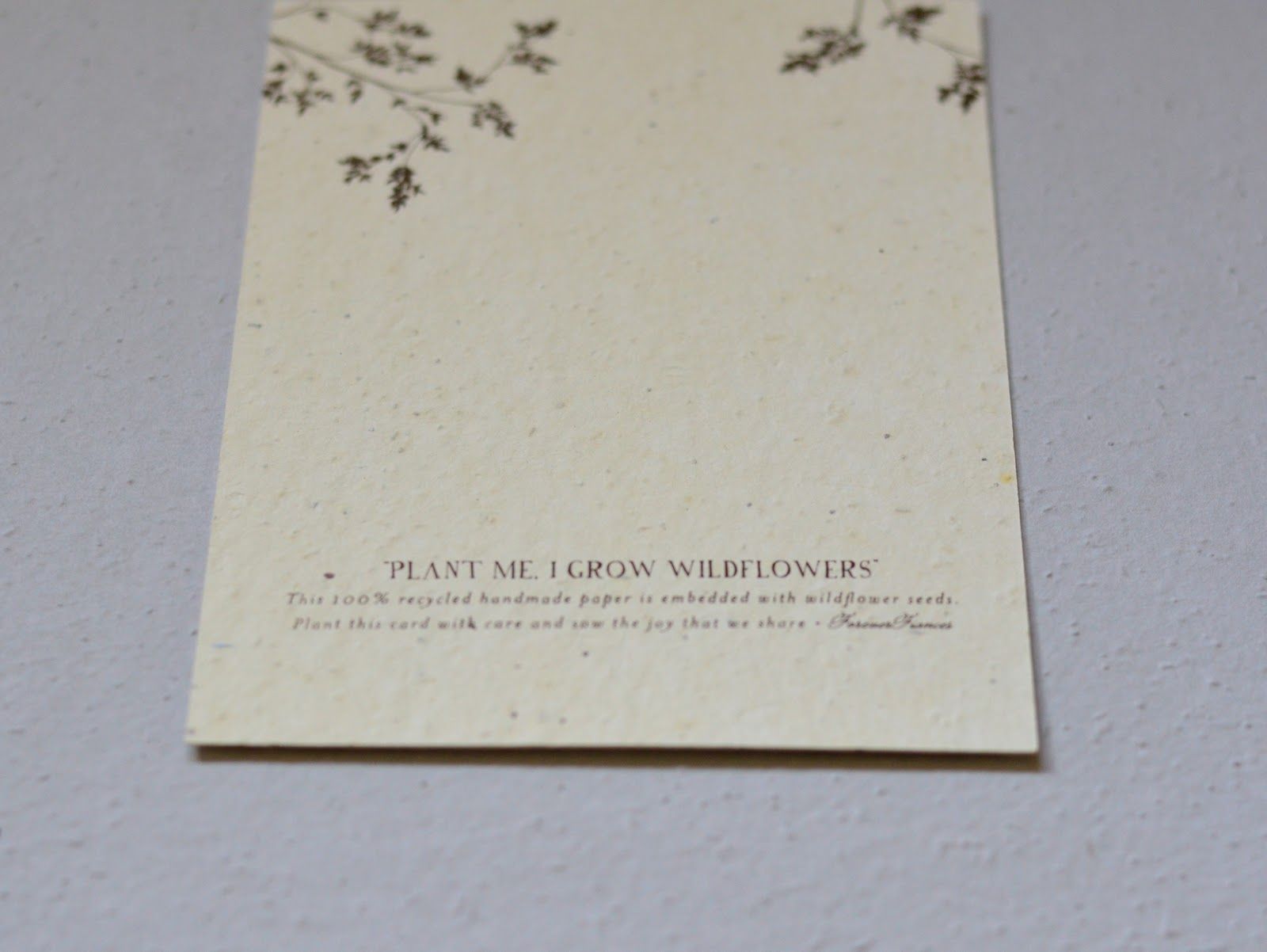 Plantable Invitation, Eco-friendly invitaion