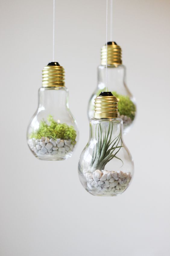 #Trending: Light Bulbs Used as Vases ! | WedMeGood