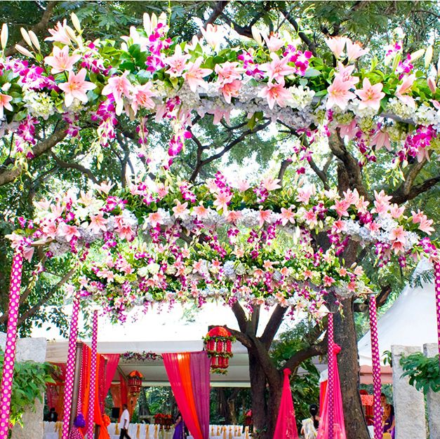 15 Ways To Use Orchids Inventively At Your Wedding Hello Purple Theme Wedmegood 9380