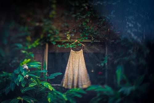 freelensed+lehenga