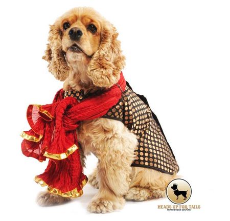 Pet Loving! | Wedding Couture for your little Pooch