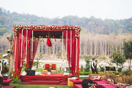 Jungle Wedding with a riot of colors