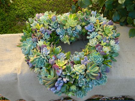 #Trending: Succulents At Weddings, Pretty and Modern!