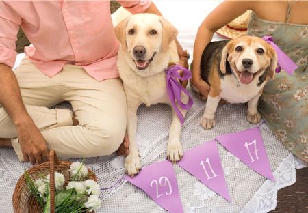 Blogger Kavya D'Souza's 'Save The Date' Shoot With Pooches Is The Cutest Thing!