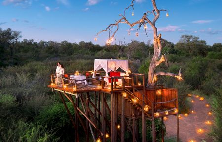 Sleep In A Luxury Treehouse In The Midst A Jungle: WMG Honeymoon Find