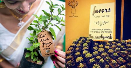 Go Eco-Friendly! Gift Potted Plants As Wedding Favors From These Top 7 Stores That We Found Out On WMG!