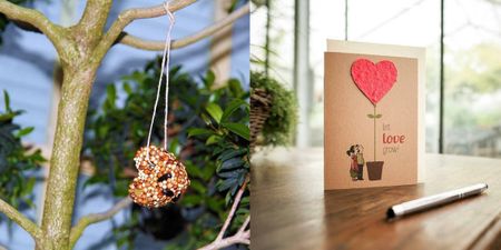 What To Put In Eco-Friendly Gift Hampers To Be Given On Your Wedding!