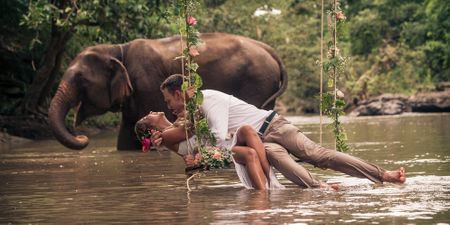 Spend Your Honeymoon Swimming With Elephants At This Resort!