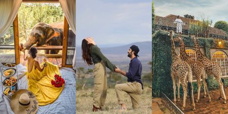 The Best Honeymoon Places If You Are A Safari Lover!
