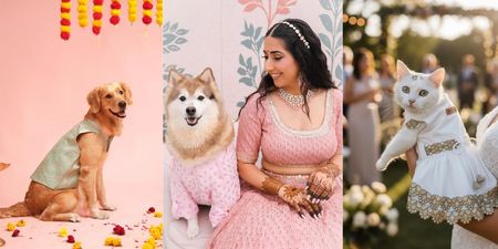 These Brands Give Your Pet More 'Main Character' Energy Than You In A Sherwani!