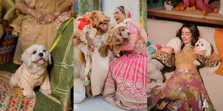 Pet-Friendly Weddings: The Cutest Trend Every Modern Couple Is Loving In 2026!
