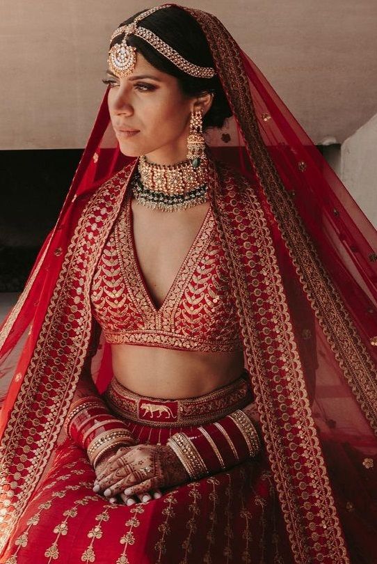 Red Sabyasachi Deep V Neck Blouse Designer Beautiful Lace Saree