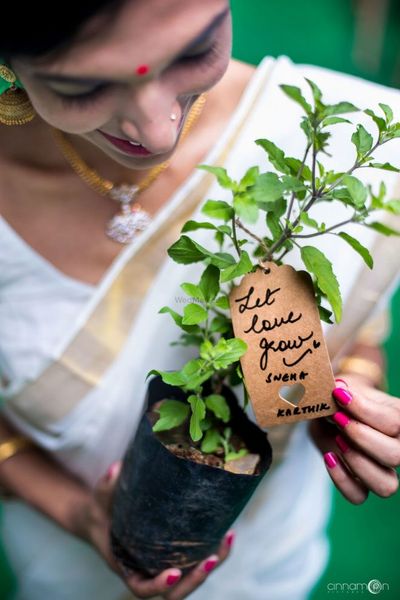 Go Eco Friendly Gift Potted Plants As Wedding Favors From These