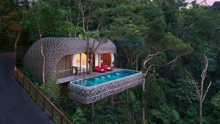 5 Tree Houses That You MUST Experience With Your Partner At Least