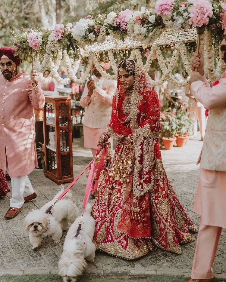Bride walking down the aisle with her dogs