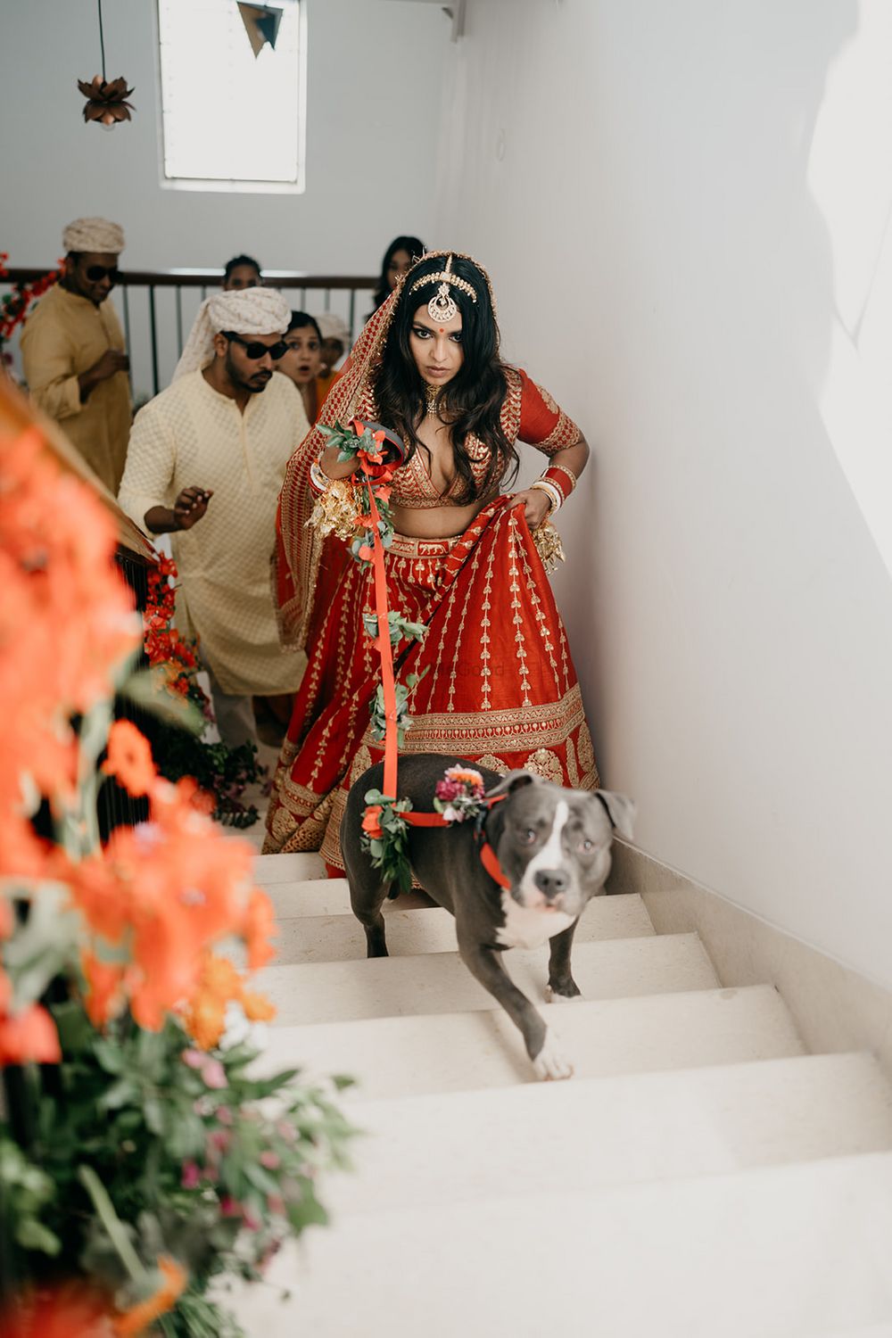 Photo of Bridal entry with dog in intimate wedding