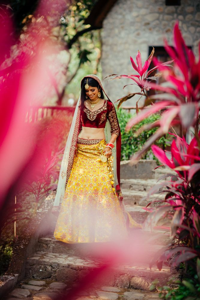 Photo of Yellow silk bridal lehenga with maroon velvet blouse