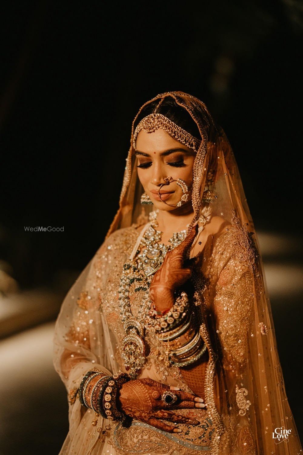 Photo of A regal bridal portrait