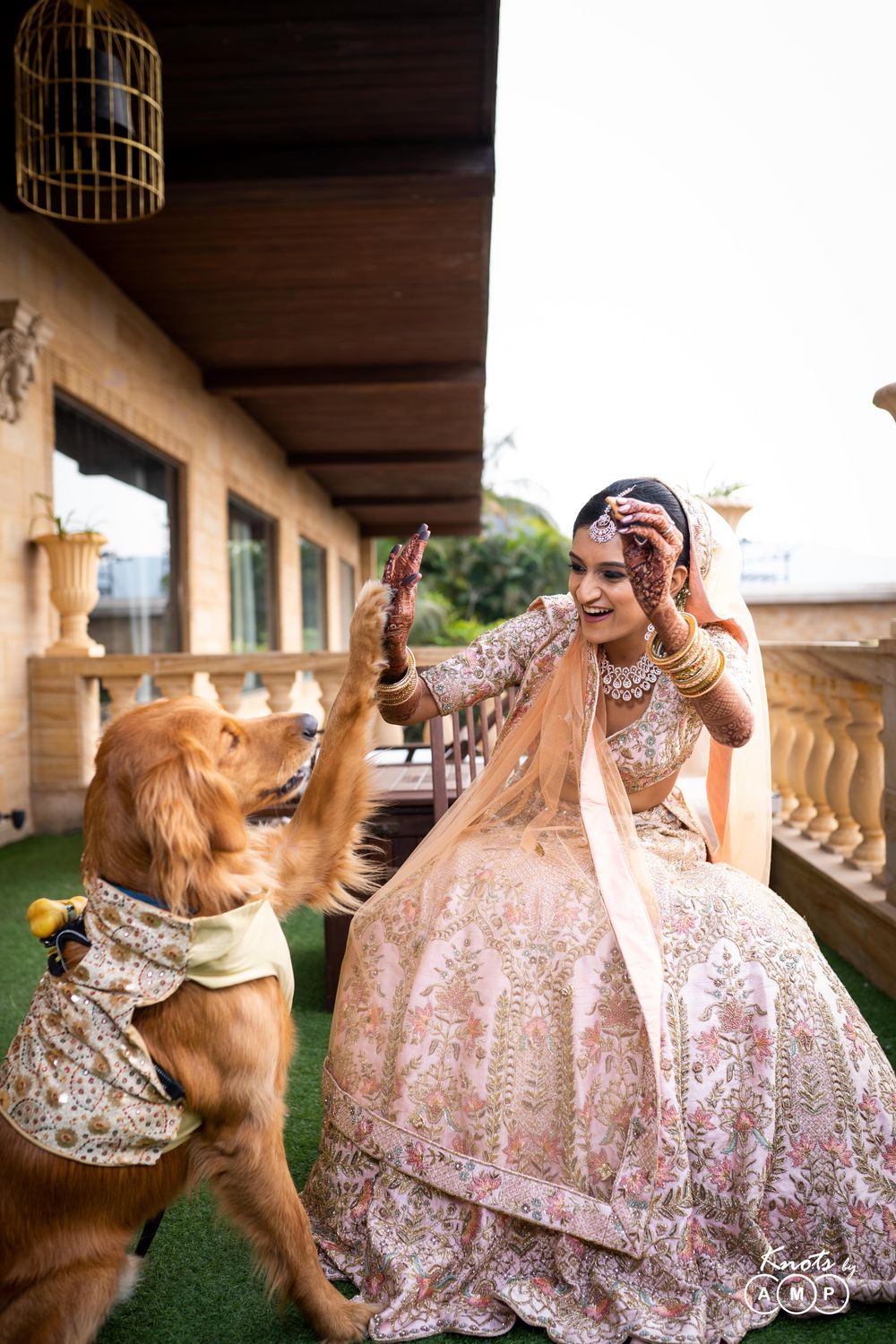 Photo of Bride posing with her dog.