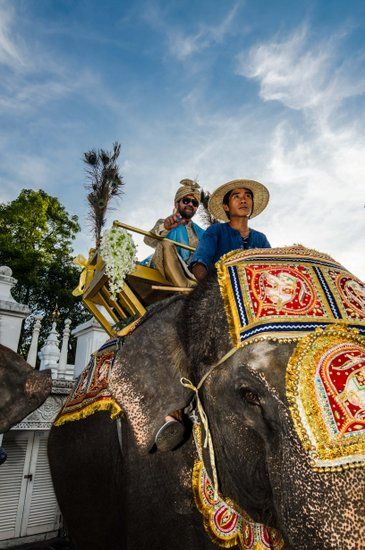 Photo of groom entering on an elephant baraat