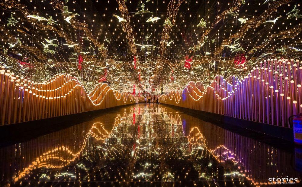 Photo of Entry walkway with fairy lights and birds.