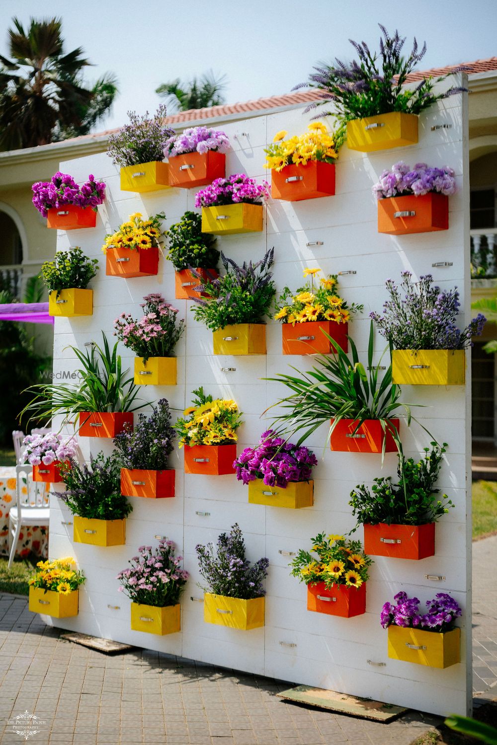 Photo of cute mehendi decor idea with a colourful plant wall