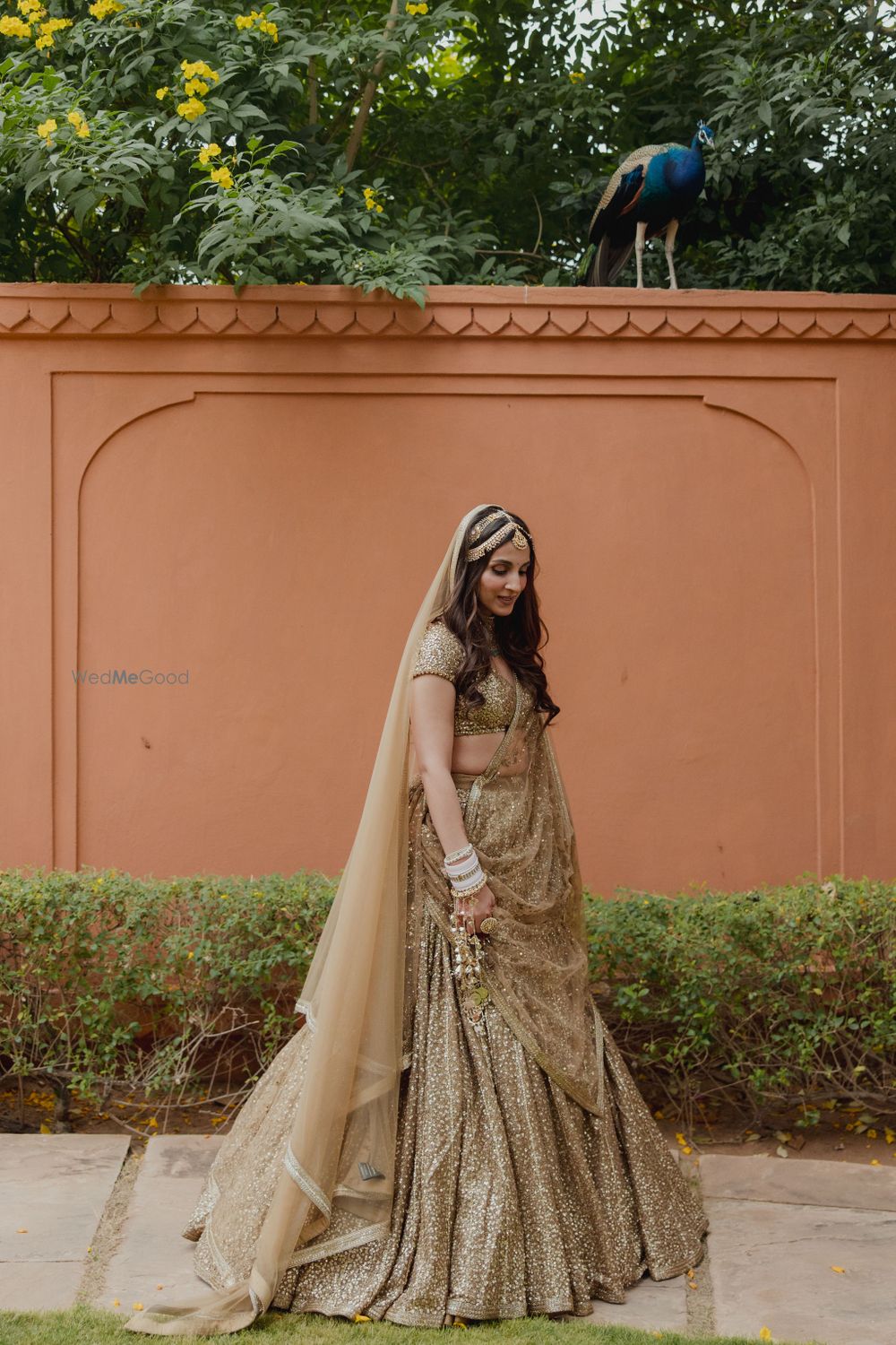 Photo from Aanchal and Varun Wedding