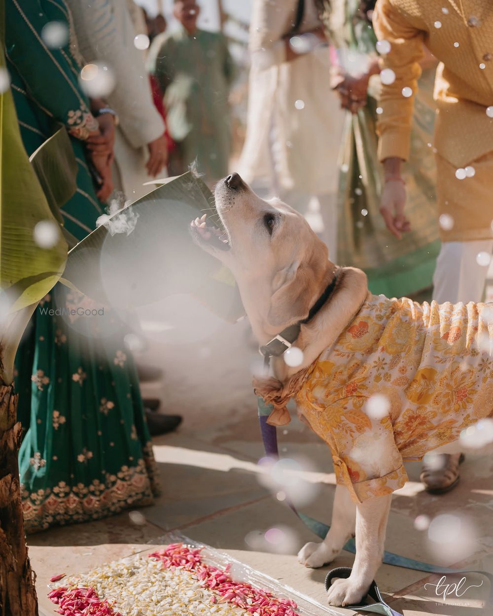 Photo from Ritika and Akash Wedding