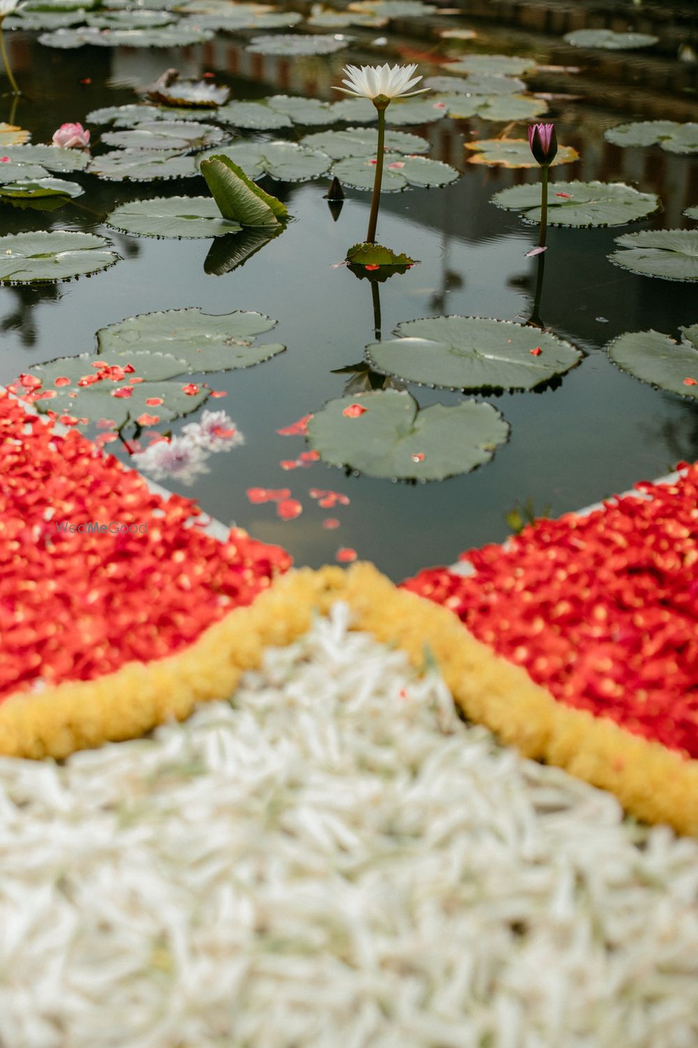 Photo from Soumyadevi & Harishankar Wedding