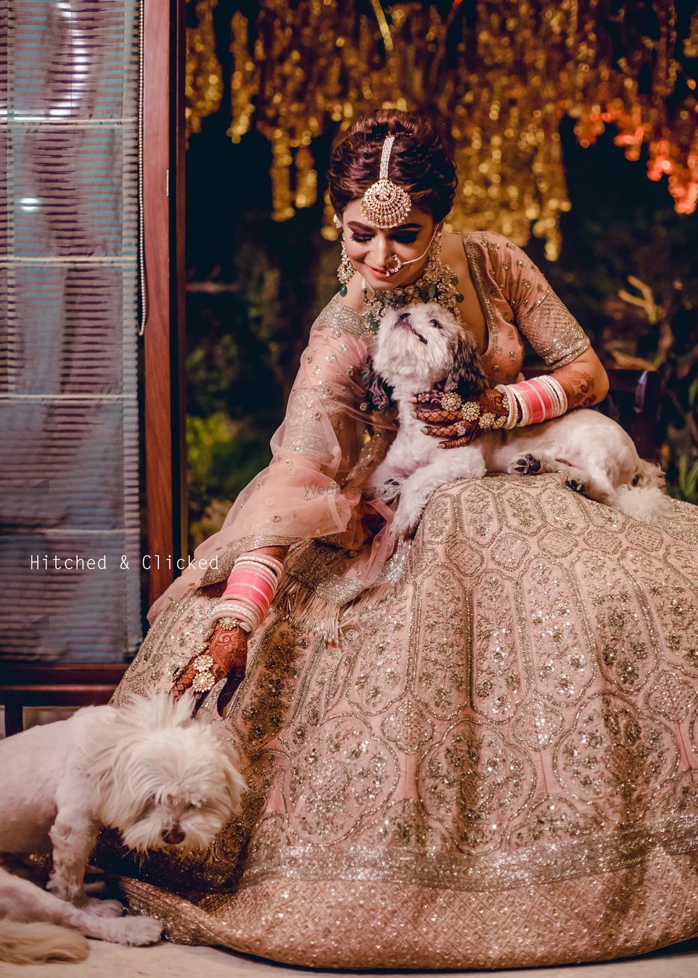 Photo of A bride with her puppies on her wedding day!