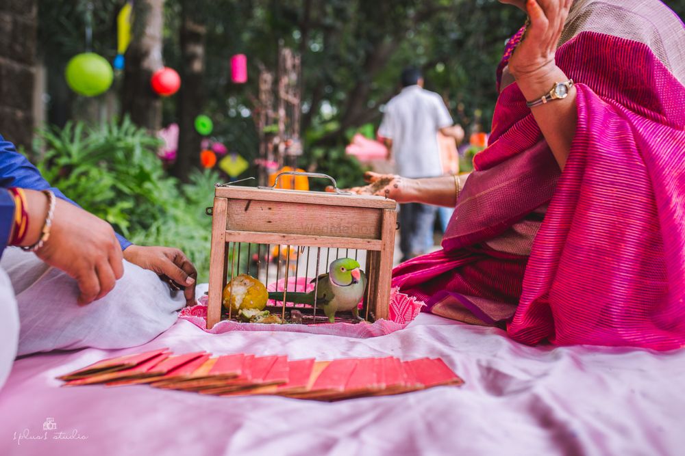 Photo of Parrot fortune teller on mehendi