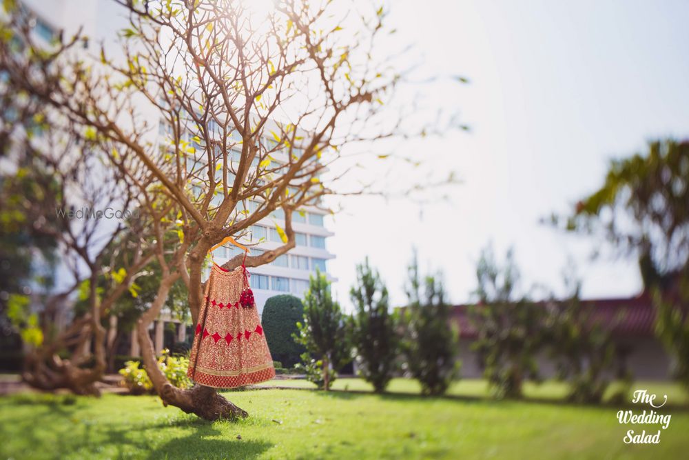 Photo from Samridhi & Abhishek Wedding