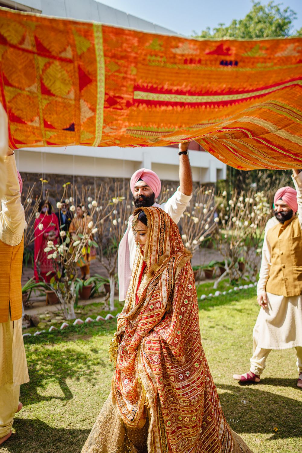 Photo of Bridal entry under a phulkari dupatta