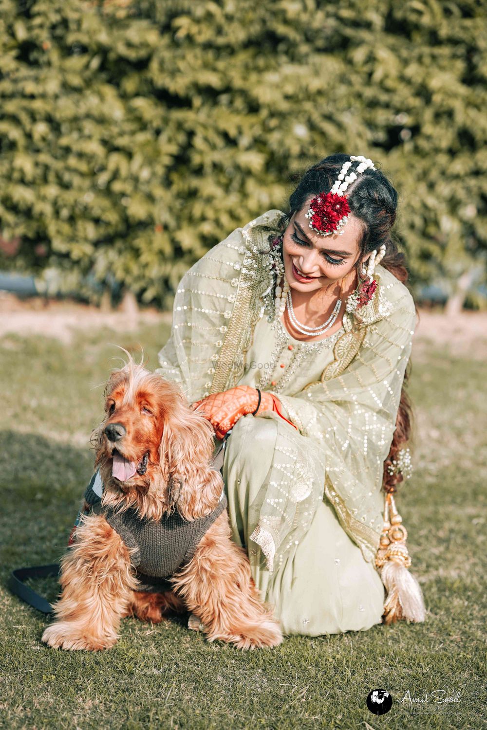 Photo of Bridal Portrait With Dog At Her Mehendi