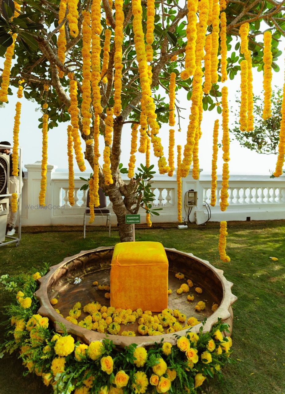 Photo from Ananya and Rohil Wedding