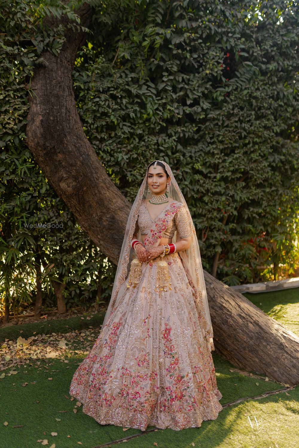 Photo from Anushka and Lakshay Wedding