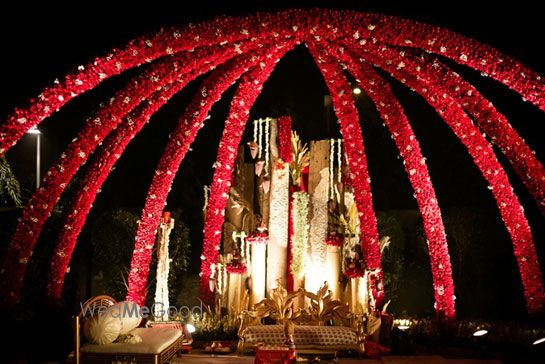 Photo of red flower canopy