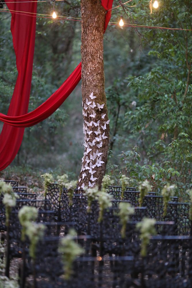 Photo of forest settings for Indian wedding
