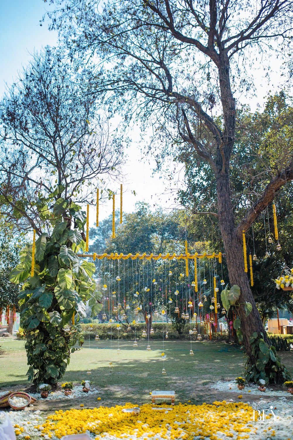 Photo of Minimal haldi decor idea for home wedding