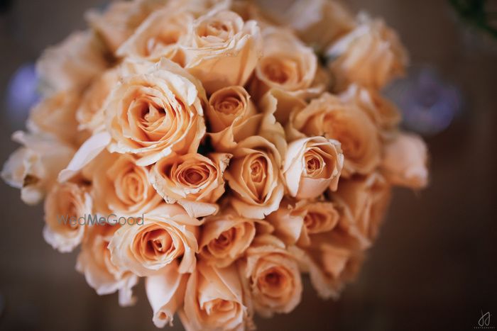 Photo of peach roses