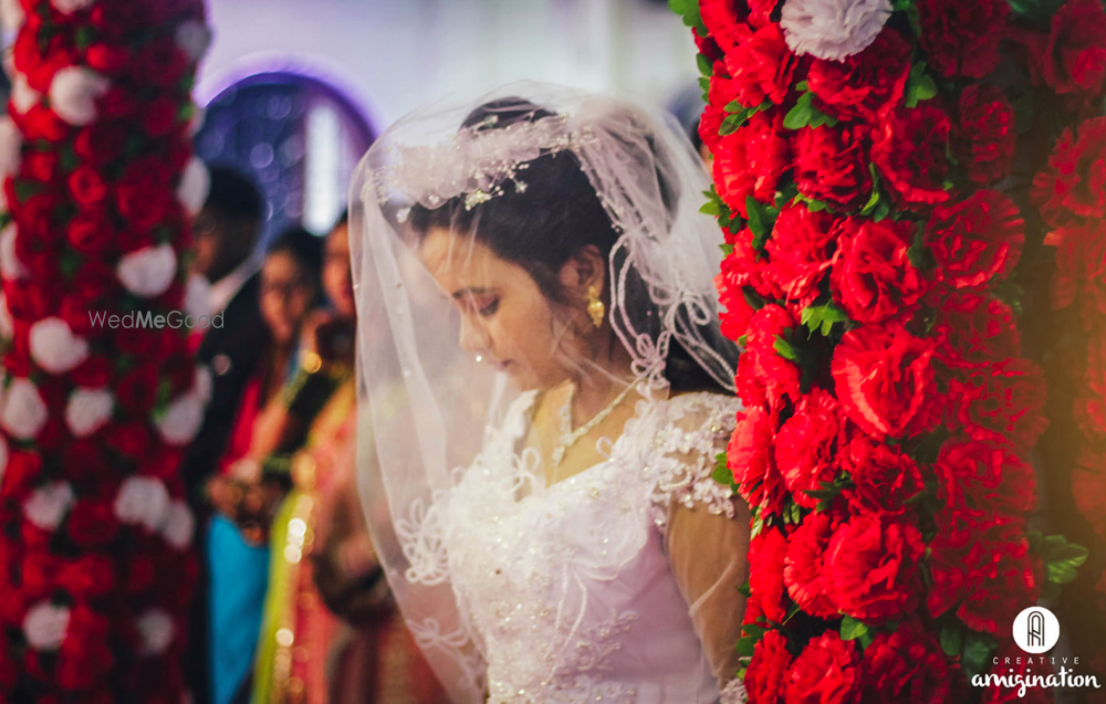 Photo By Creative Amigination - Photographers