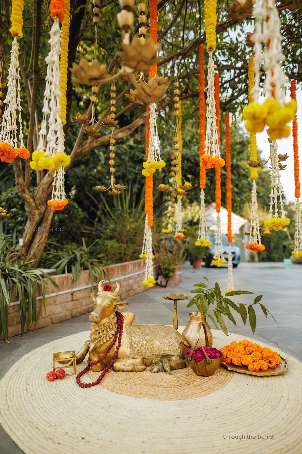 Photo By Zorba - Venues