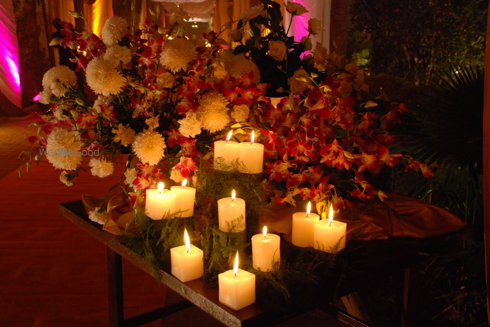 Photo of Zucchini Events