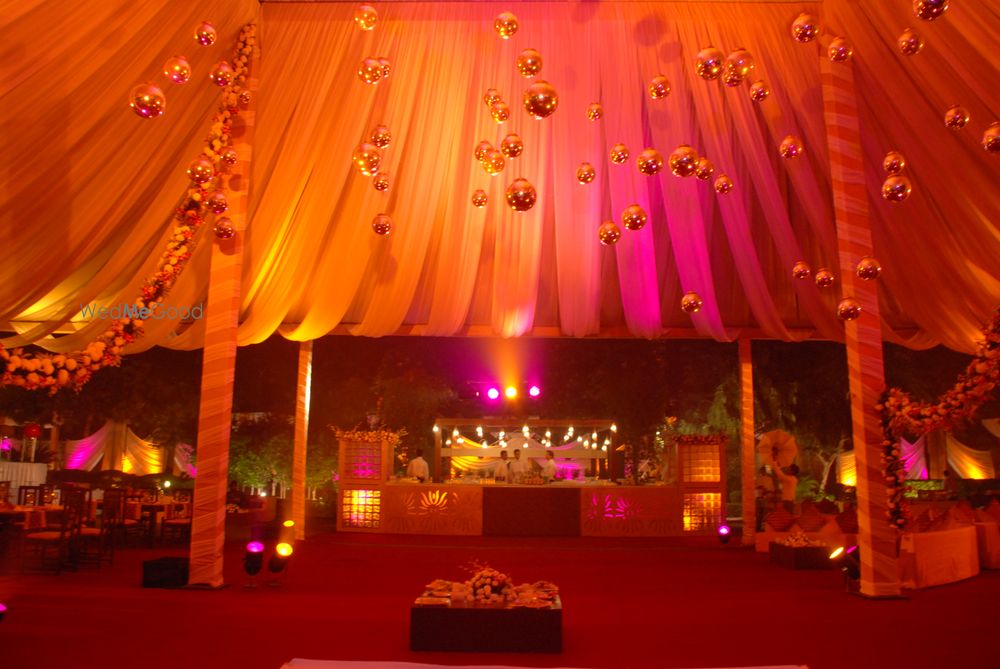 Photo of Zucchini Events