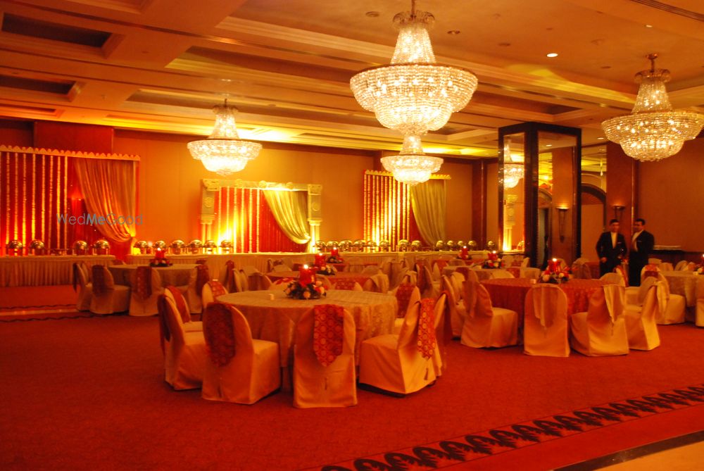 Photo of Zucchini Events