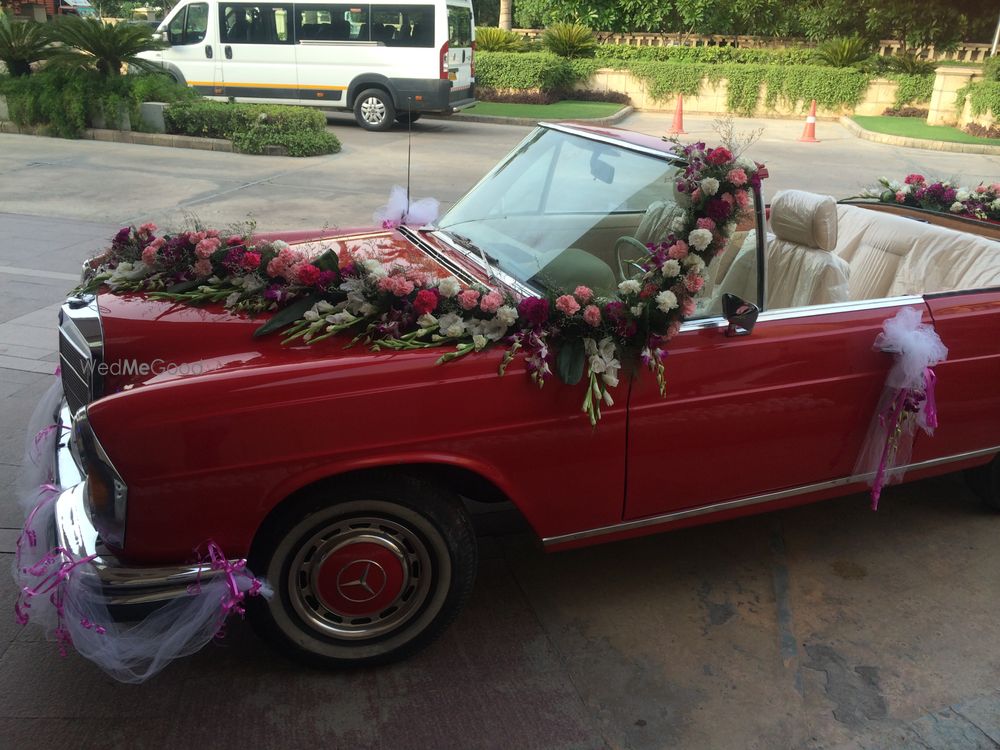 Photo of Zucchini Events