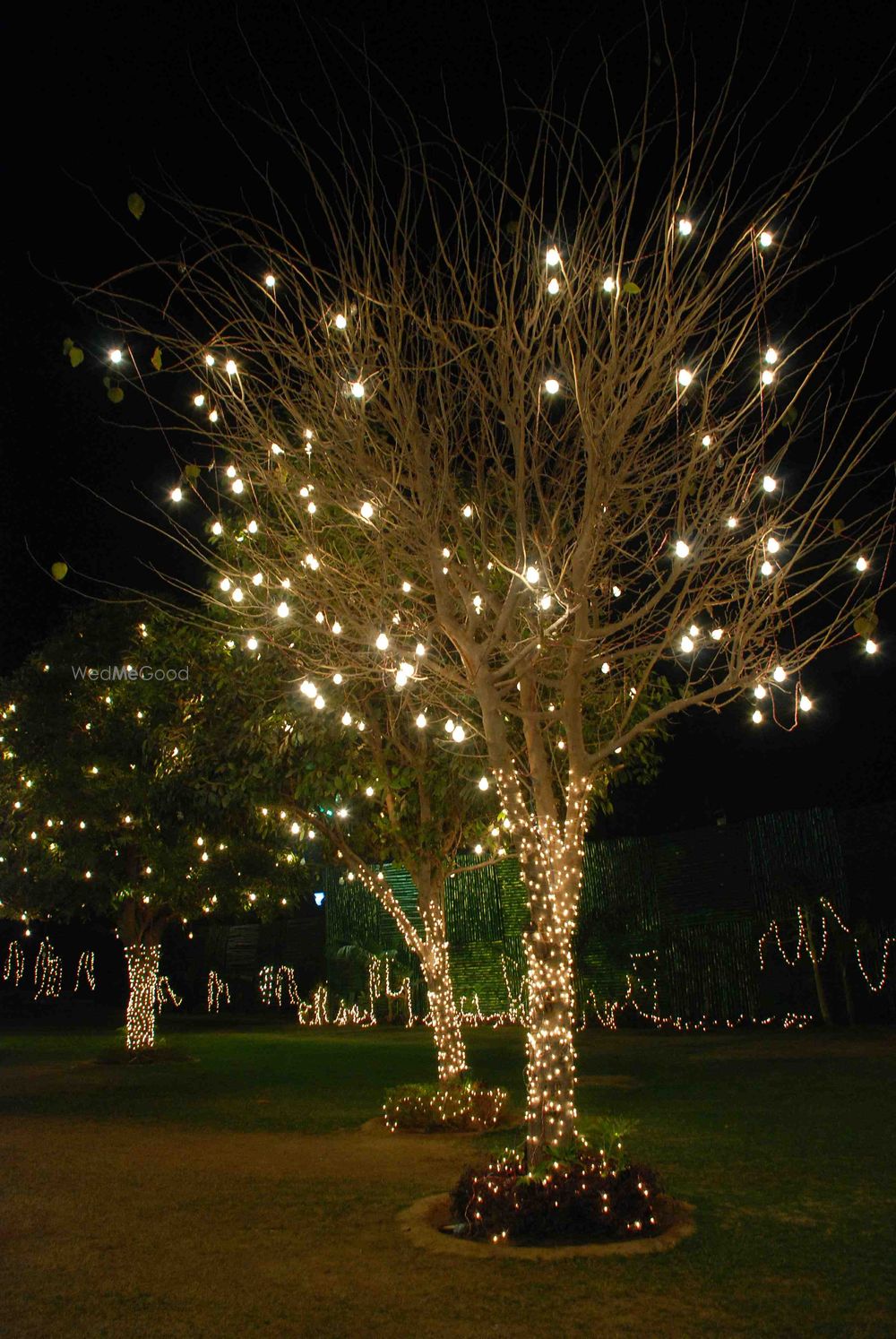 Photo of Zucchini Events