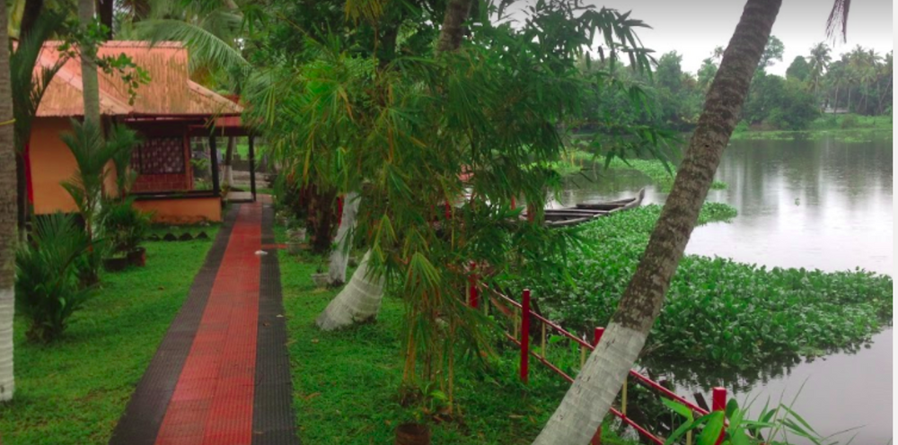 Mangroove Resort